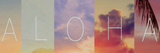 nessie7u7's profile banner image