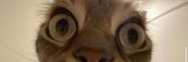 jarke82's profile banner image