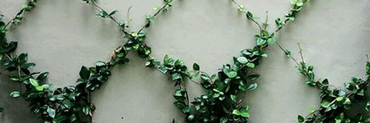 linewithaline's profile banner image