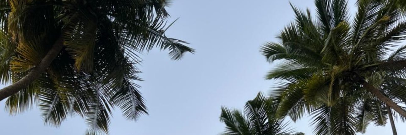 Alissy_xo's profile banner image