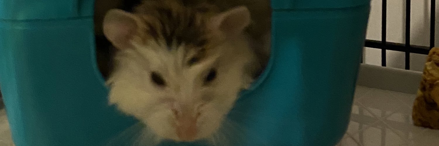 LawP3's profile banner image
