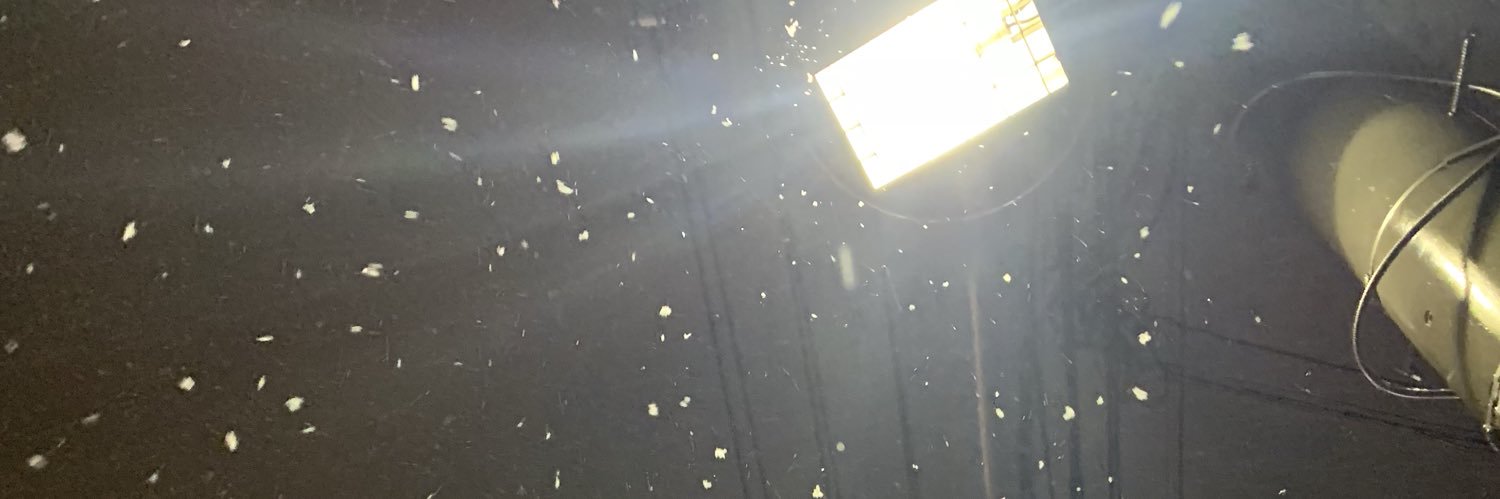 murasaki_MM's profile banner image