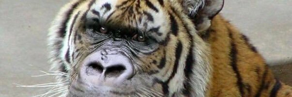 ta2amnos_S's profile banner image