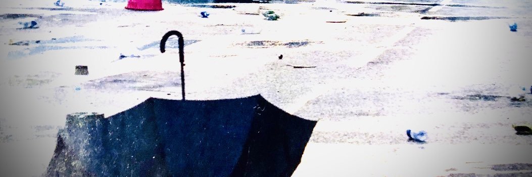 Stephen D Surjik banner