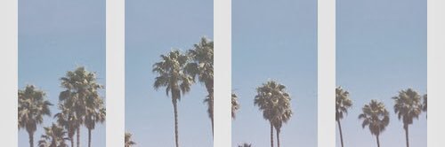bakerbunnss's profile banner image