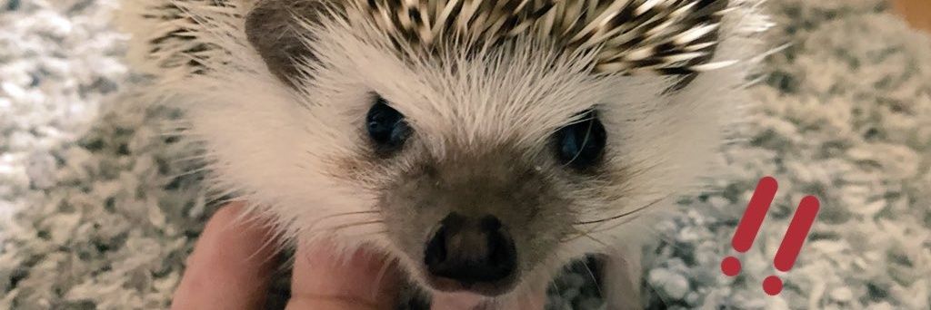 xSnvw's profile banner image