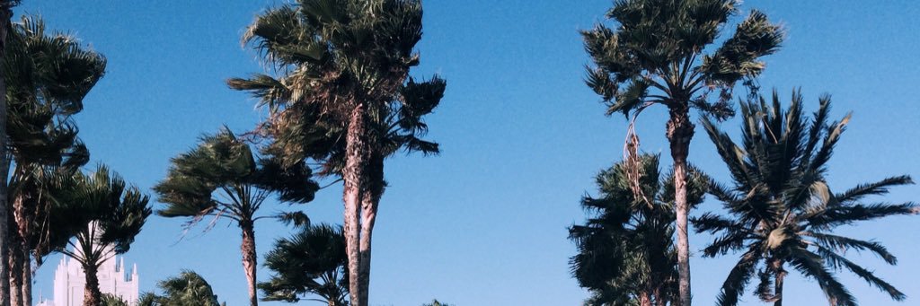 Mary_Ross16's profile banner image