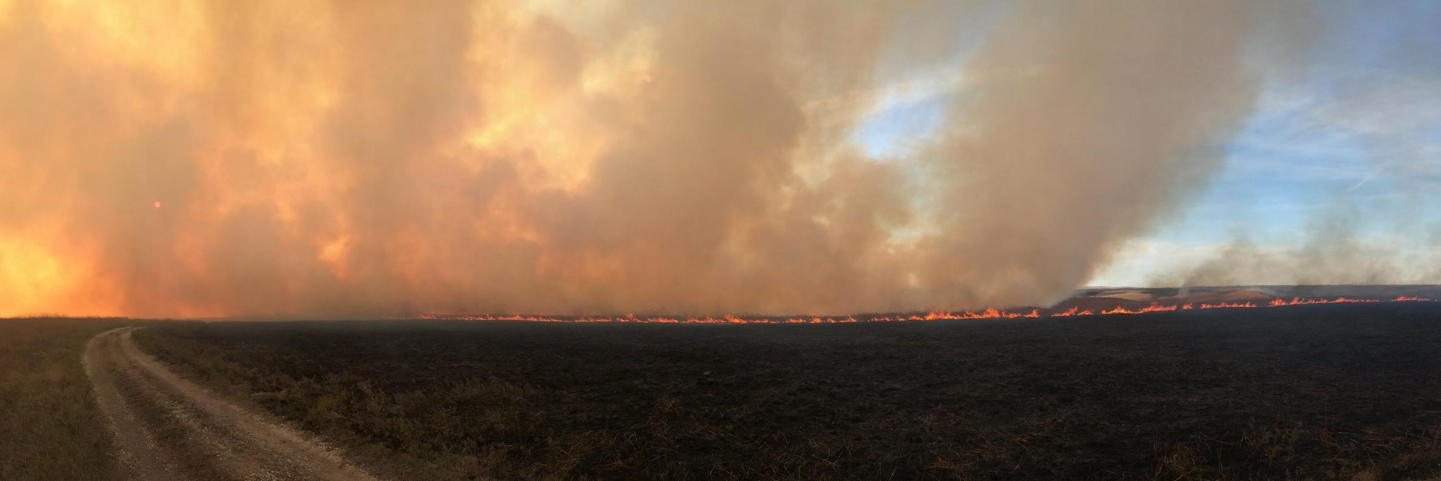 GP Fire Science banner