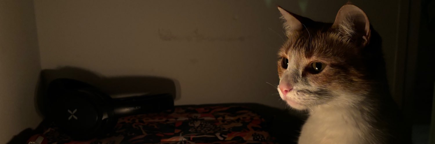 MarucaPujo's profile banner image