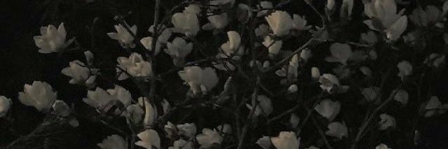karime_jo's profile banner image
