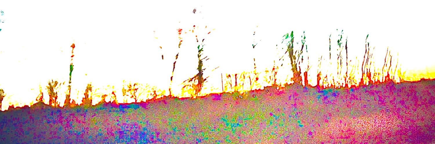 Liahonalove's profile banner image