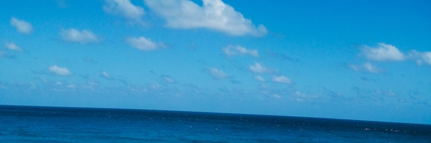 zdlrd's profile banner image