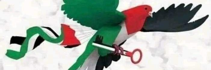 WahidaKaidSaid's profile banner image
