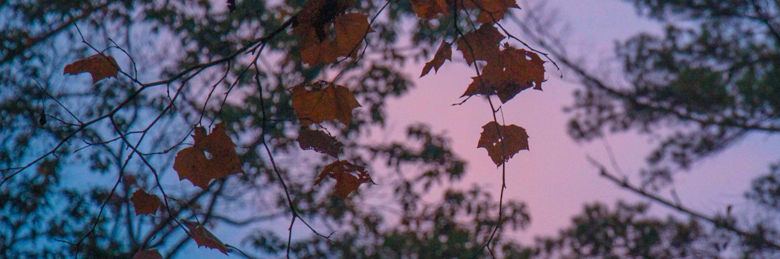 GeogMaxwell's profile banner image