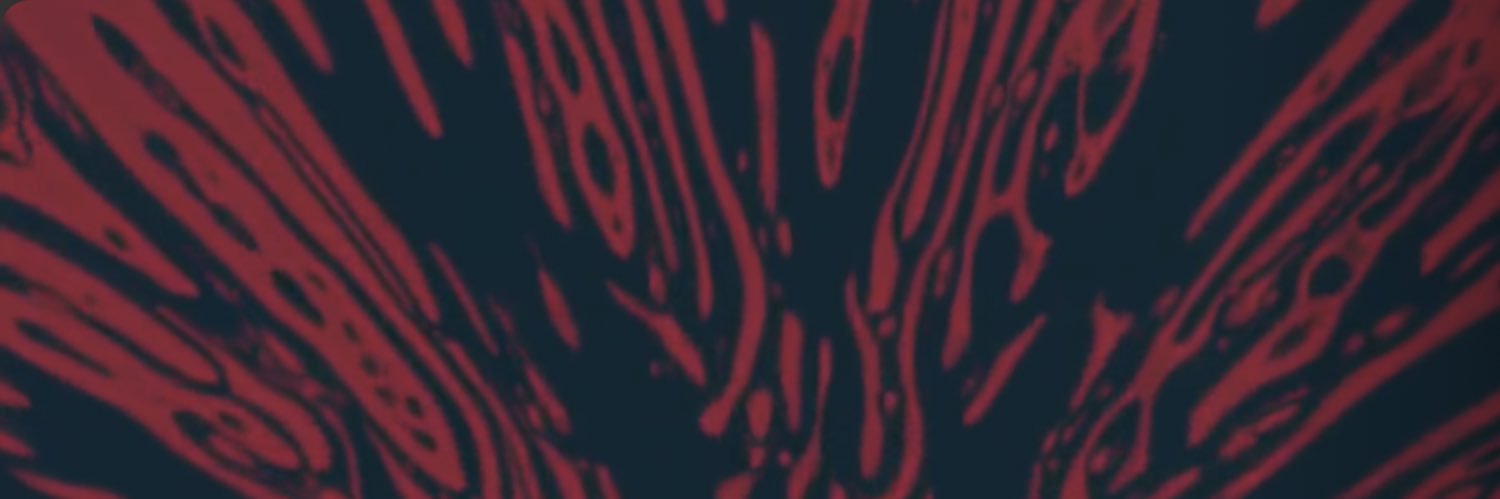b4rbosaur's profile banner image