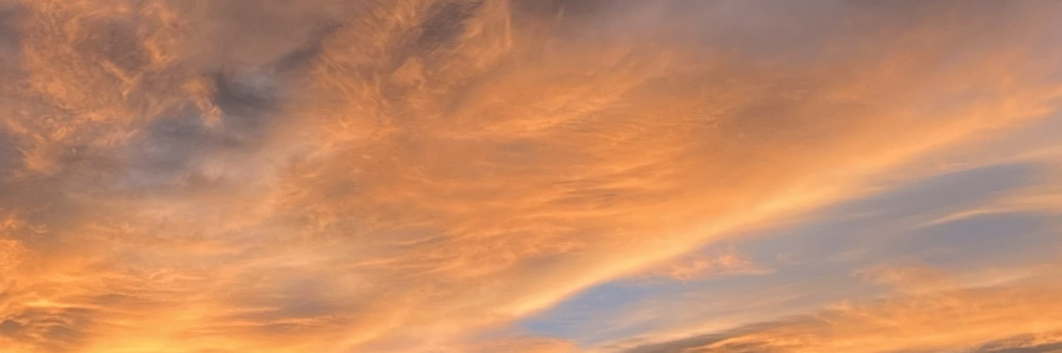 izzypedersen's profile banner image