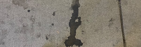 CuratedFilth Profile Banner