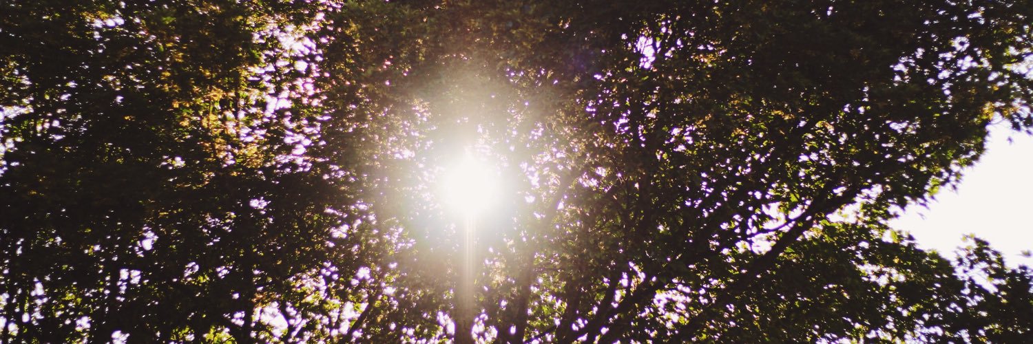 ayeshabeans's profile banner image