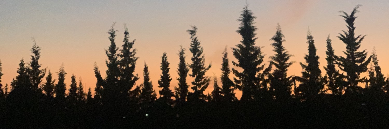 YLablad's profile banner image