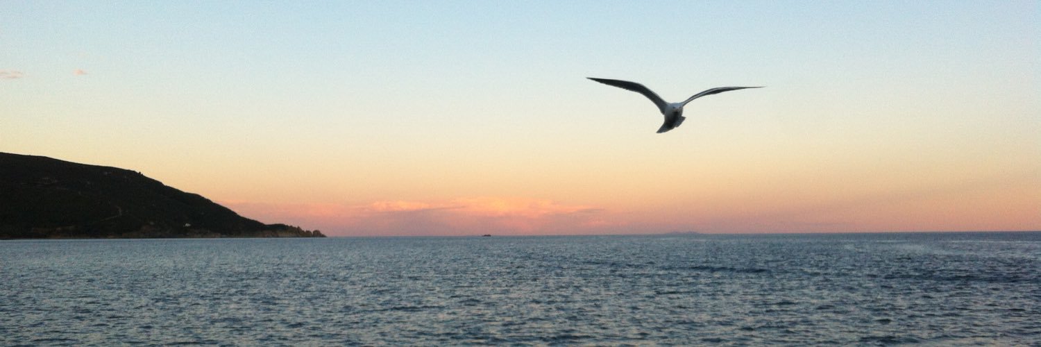 settetestuggini's profile banner image