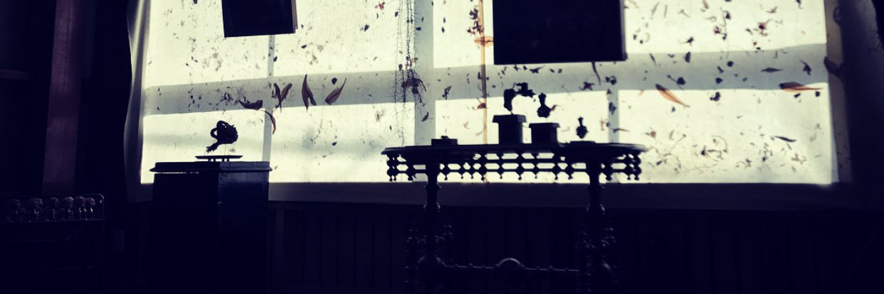 mayShoto's profile banner image