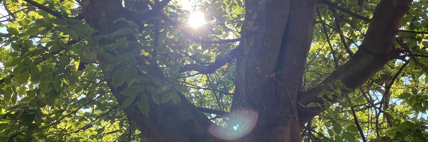 EmbodyMastery's profile banner image