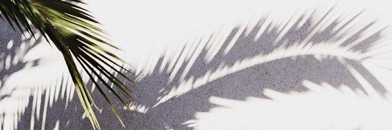 Mathilde_stl's profile banner image