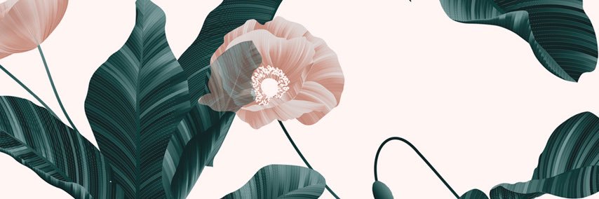 Heatherr__Rose's profile banner image