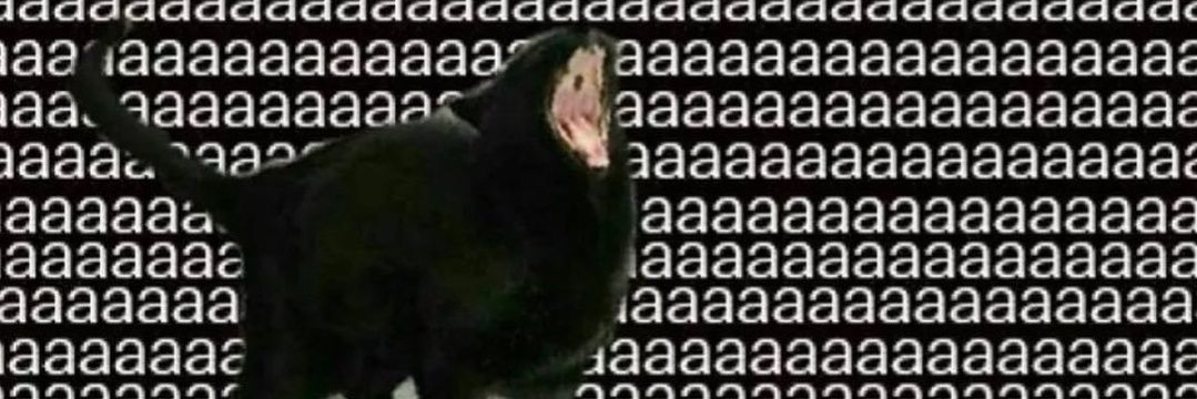 Ceejay / Caitlin banner