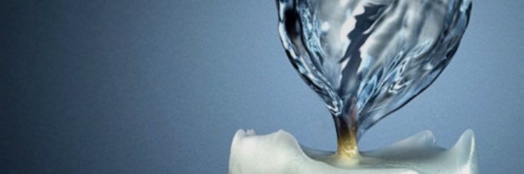 tadtsiri's profile banner image