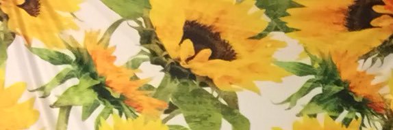 Mollybee14's profile banner image
