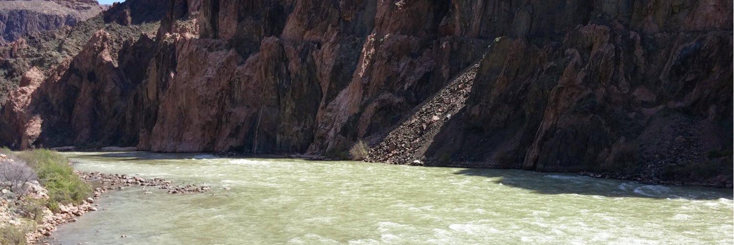 therealnogales's profile banner image