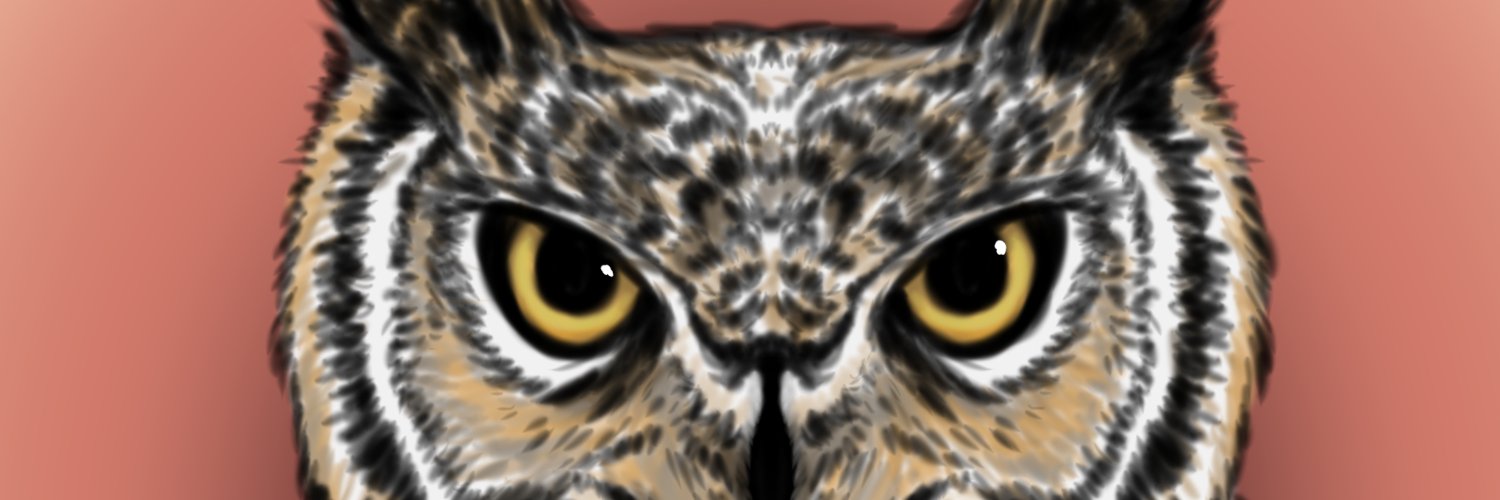 MarulyZarade's profile banner image