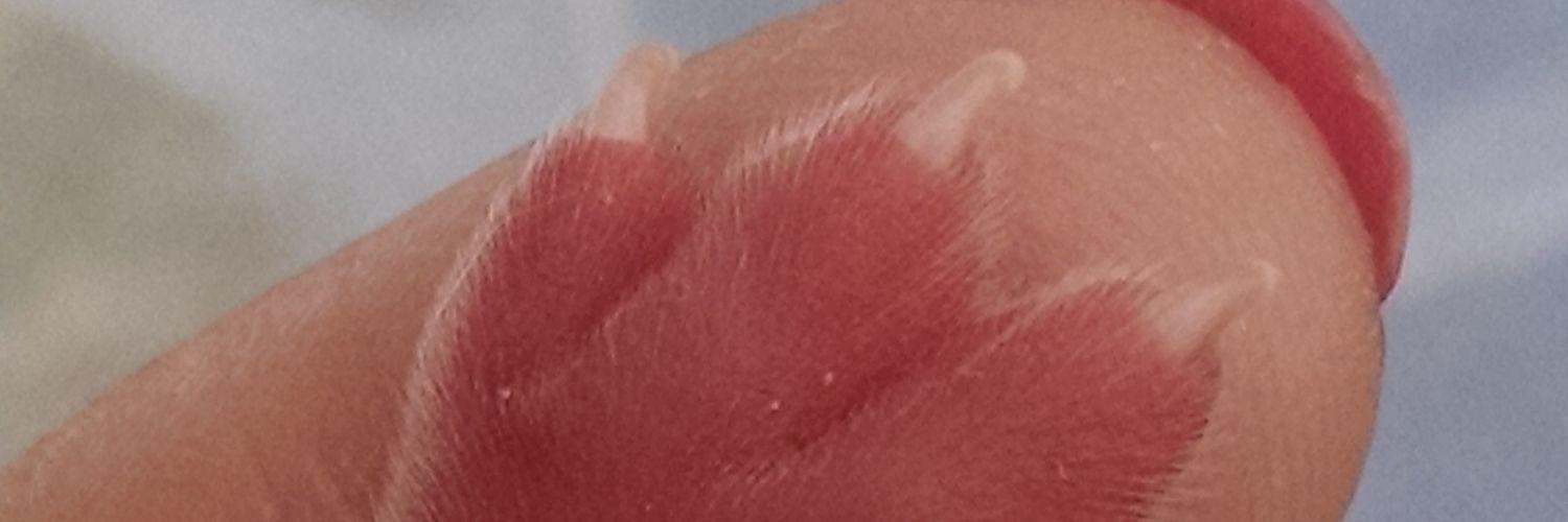 _amabillyn's profile banner image
