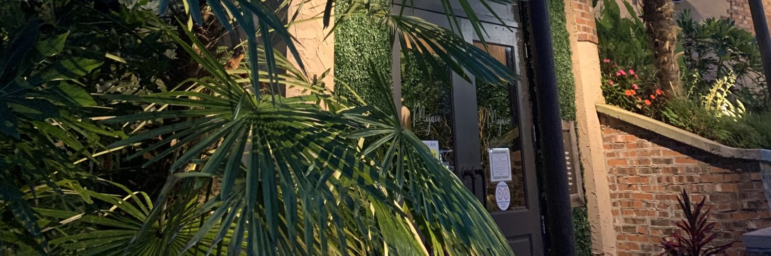 LestefenD's profile banner image