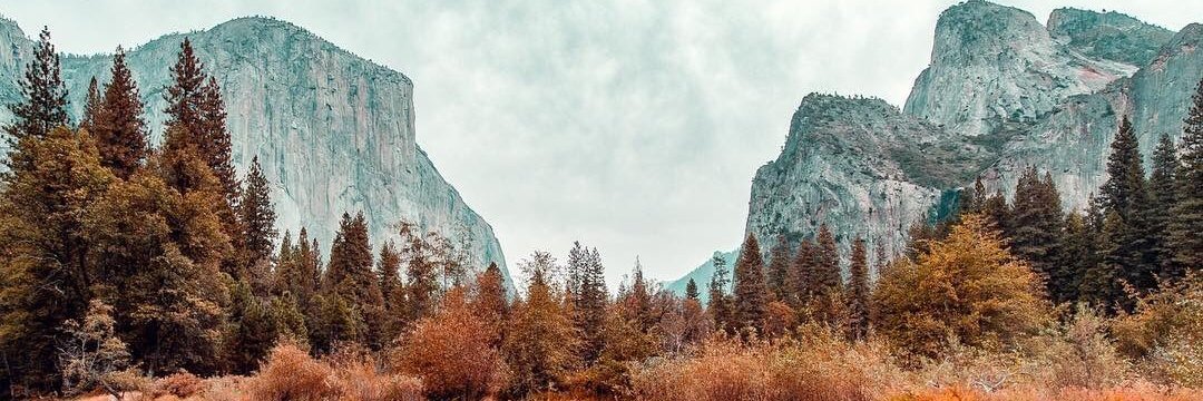 Padi97's profile banner image