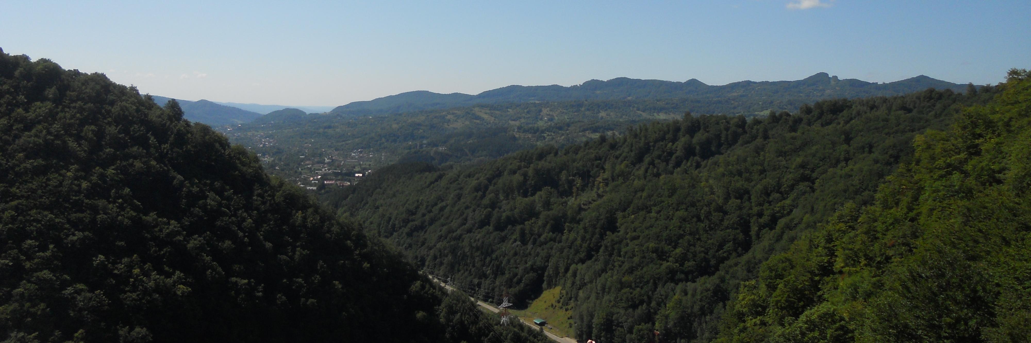 MadiPetrica's profile banner image