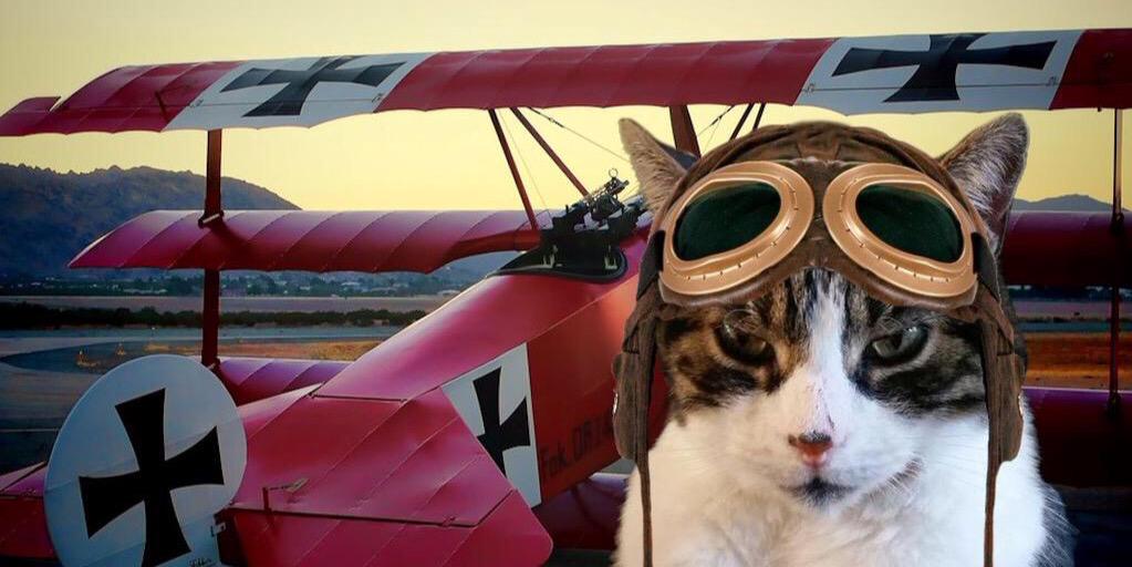 ManfredCat's profile banner image
