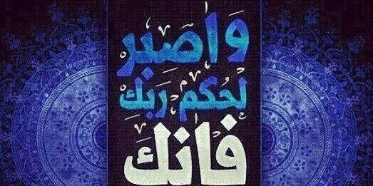 hebamuayed's profile banner image