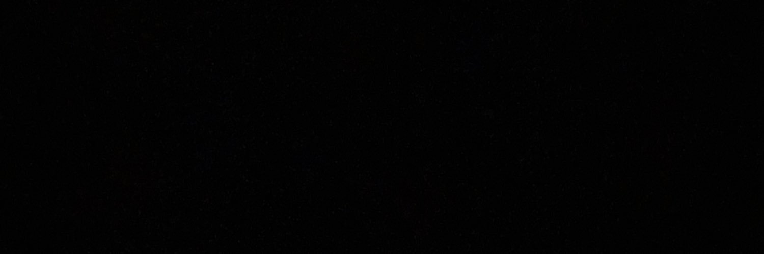 Linas Katinas banner