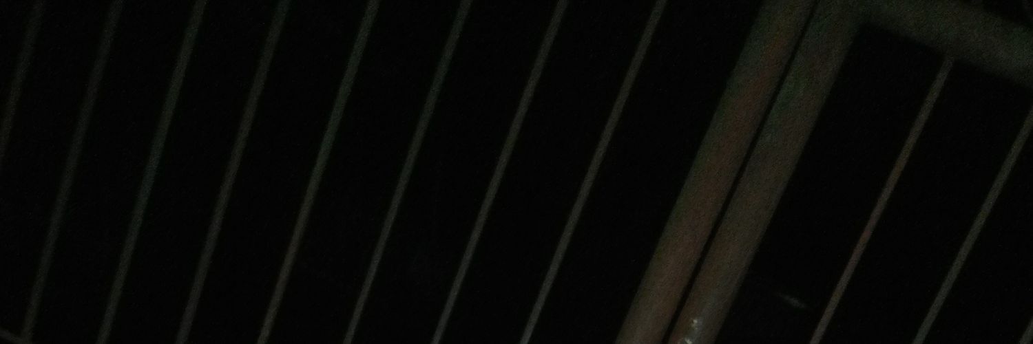 melibogna's profile banner image