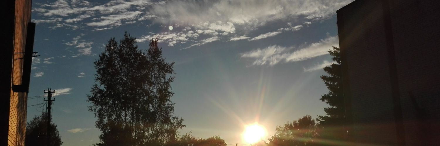 _Leprikoons_'s profile banner image