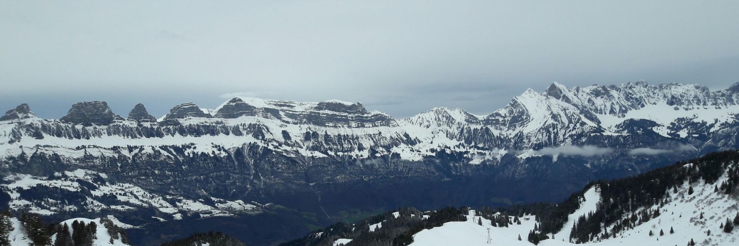 LeonstraubS's profile banner image