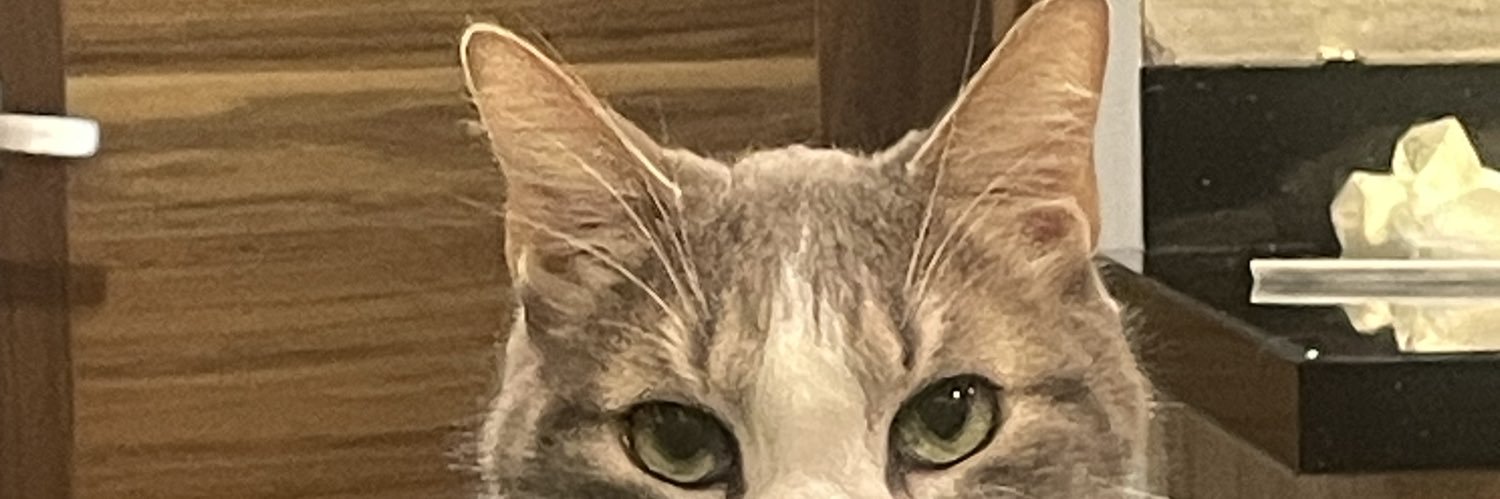 SusyCosette's profile banner image