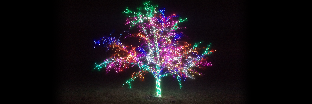 LSMagicTree's profile banner image
