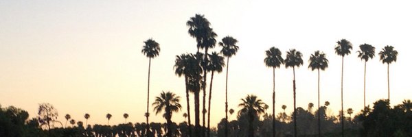rachelawiselure Profile Banner