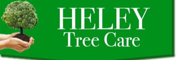 HeleyTreeWork's profile banner image