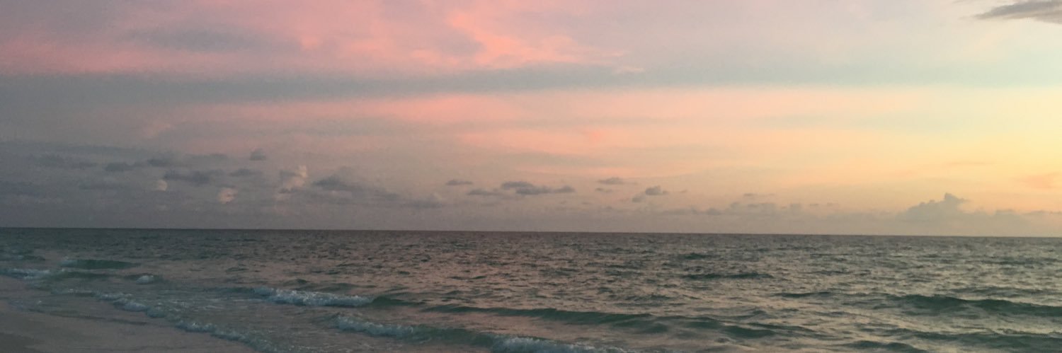 KatePollina's profile banner image