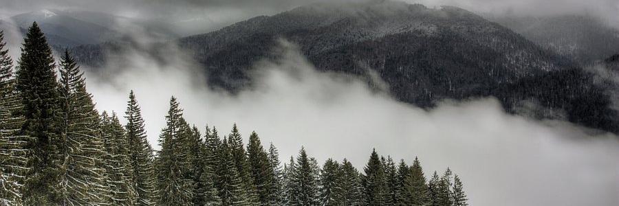 SKawicka's profile banner image