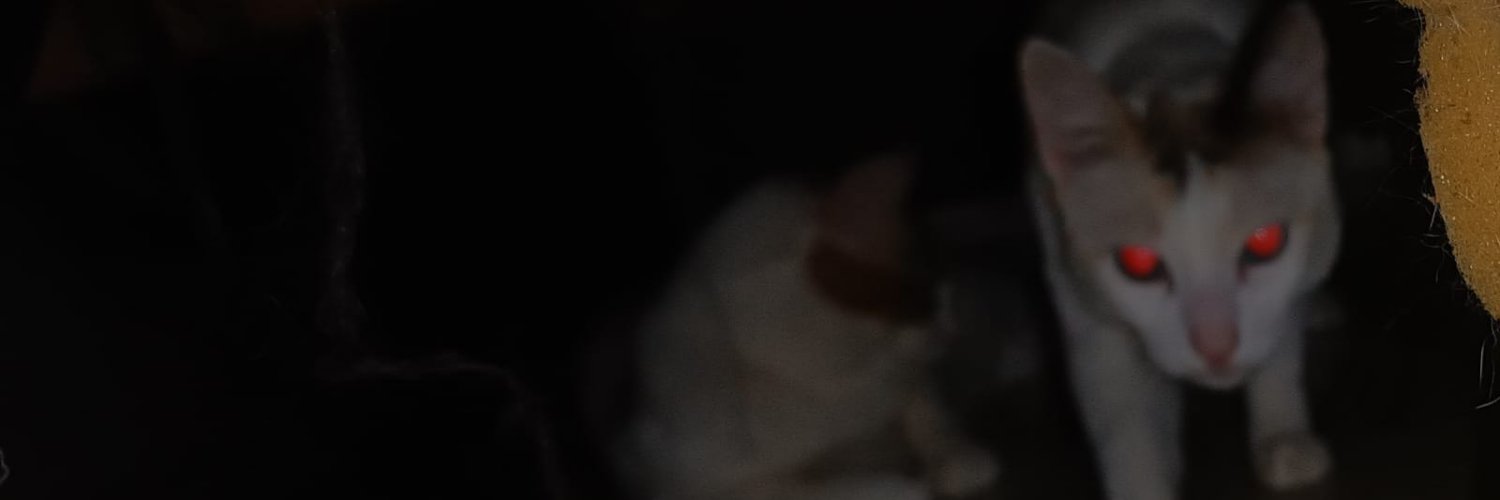 ganeshiru's profile banner image